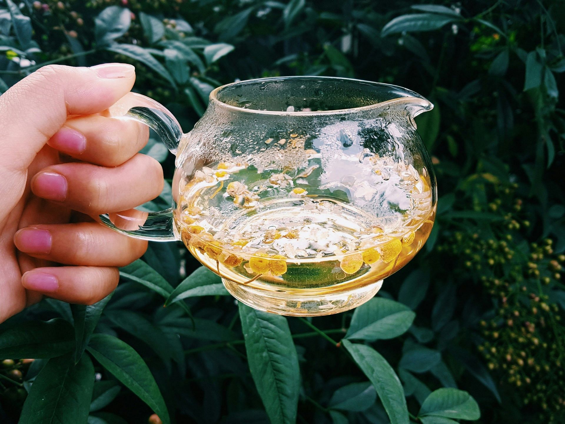 How to increase REM sleep with foods and beverages? Drink chamomile tea (Image by TEAcreativelife/Soo Chung/Unsplash)