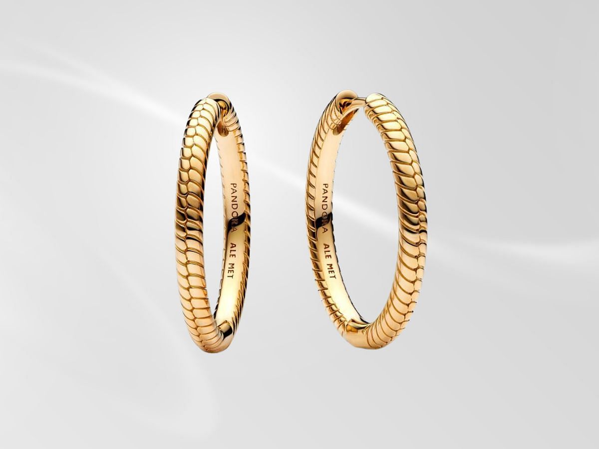 The Moment&#039;s Charm Hoop Earrings (Image via Pandora)