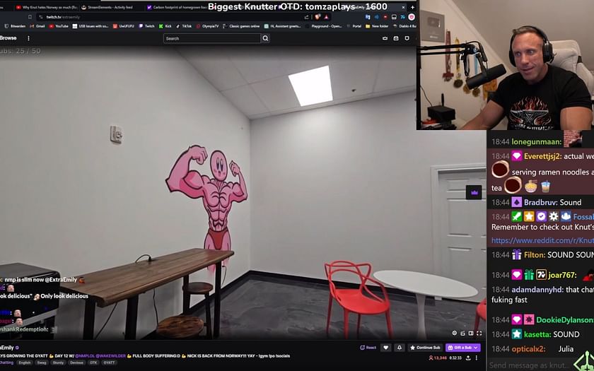 That looks so out of place and random: Viewers criticized the art inside  Twitch streamers Knut and Mizkifs gym