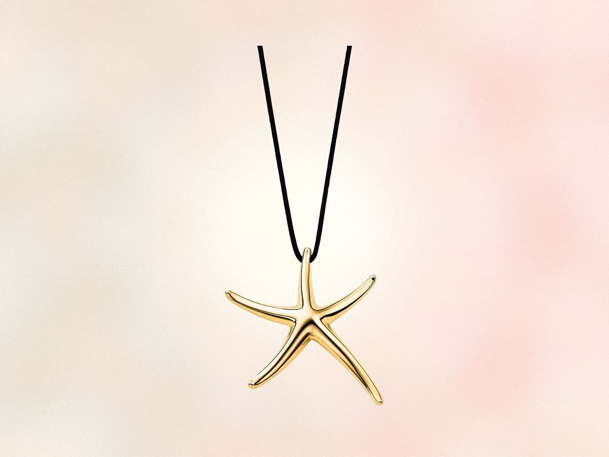 The Tiffany Elsa Peretti Starfish pendant (Image via Tiffany website)