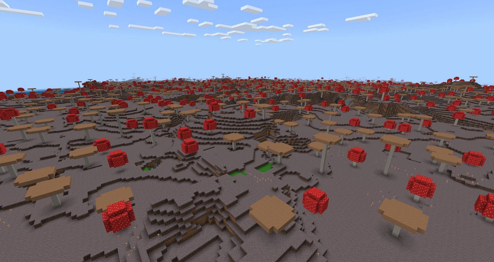 Une petite partie de l'immense île aux champignons sur la graine (Image via Mojang)