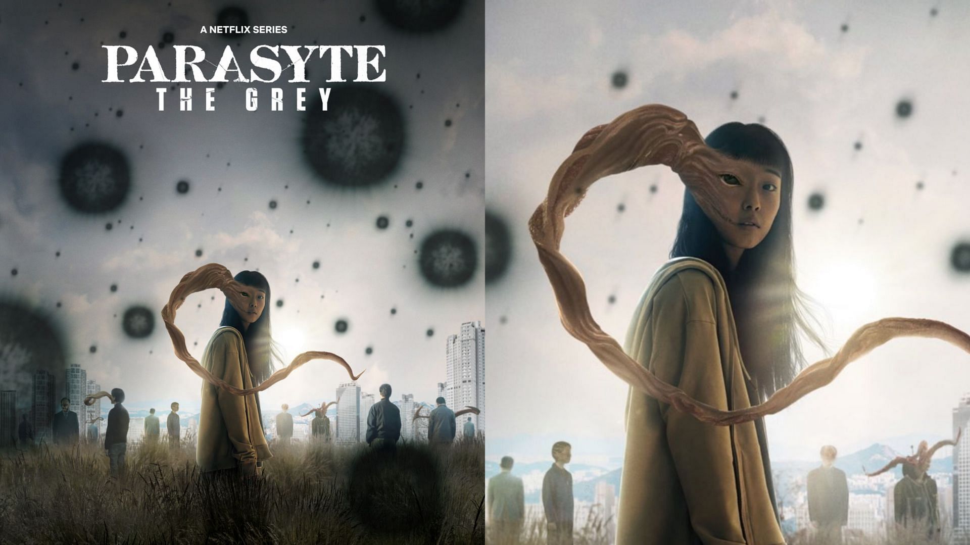 Parasyte The Grey on Netflix Release date, airtime, plot, cast & all you need to know