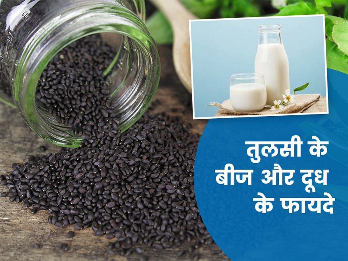 तुलसी के बीज और दूध के फायदे (sportskeeda Hindi) 
