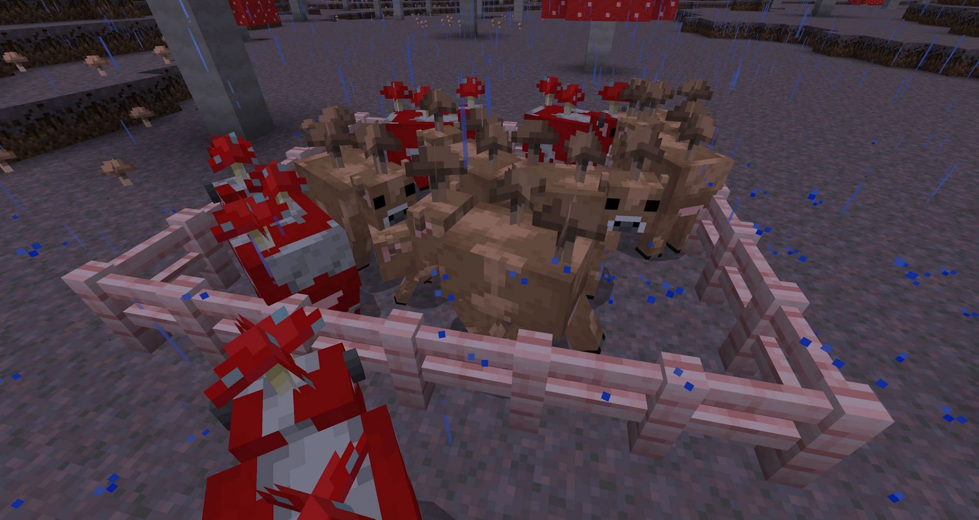 Red and brown mooshroom in a pen (Image via Mojang)