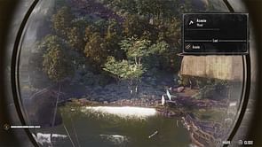 How to harvest Acacia in Skull and Bones