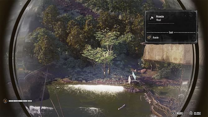 How to harvest Acacia in Skull and Bones