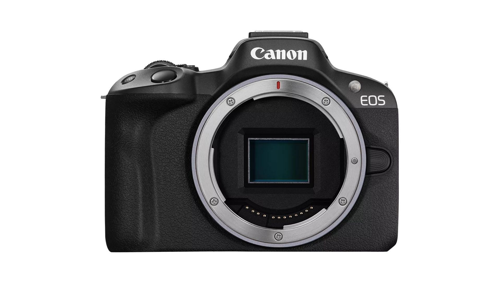 Canon EOS R50 - best digital cameras for beginners (Image via Canon USA)