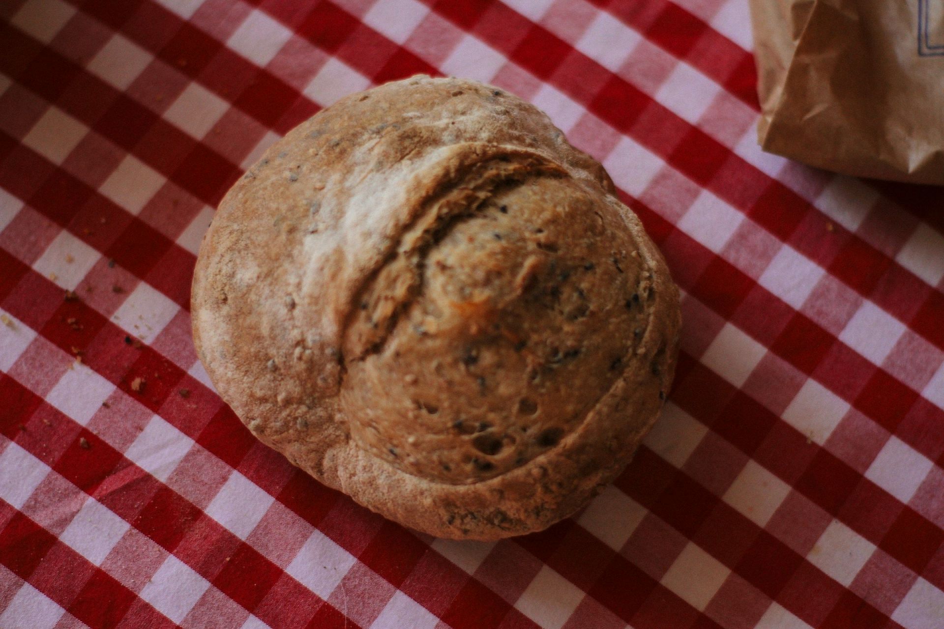 Moldy bread (Image via Unsplash/William)