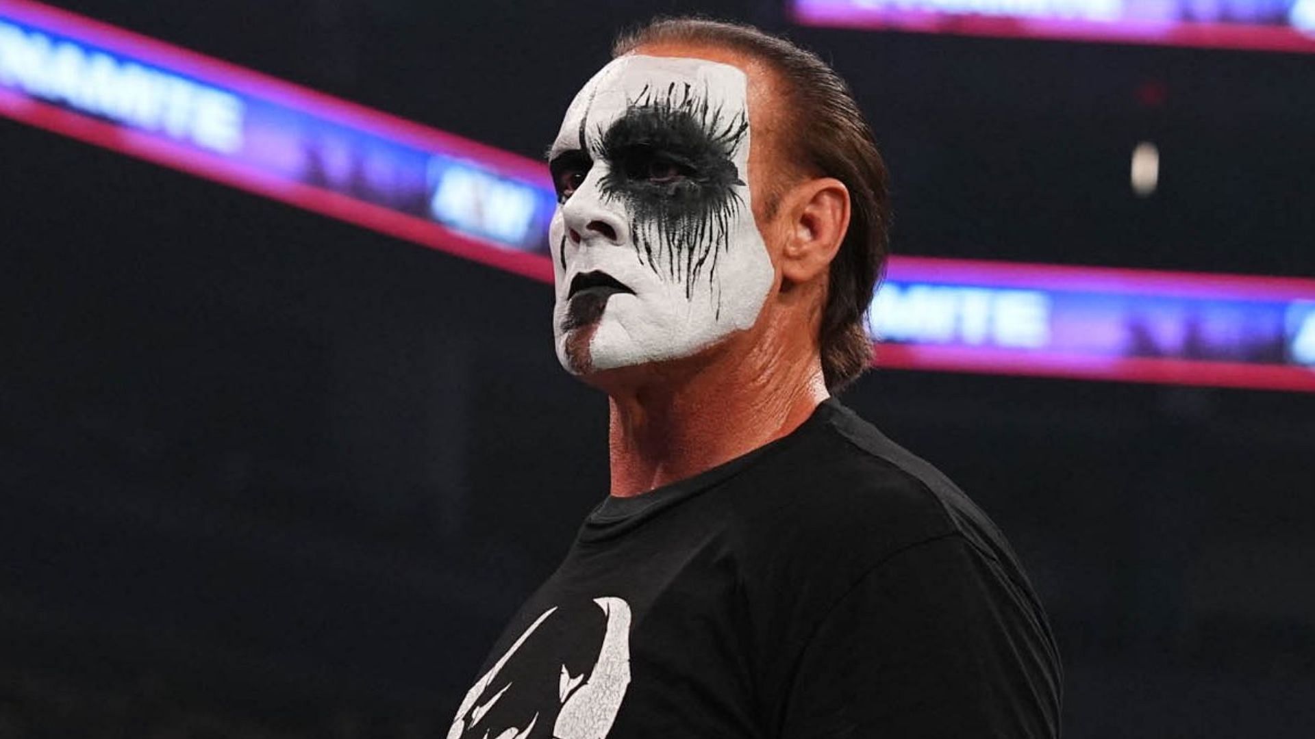 Sting is a former WCW World Heavyweight Champion