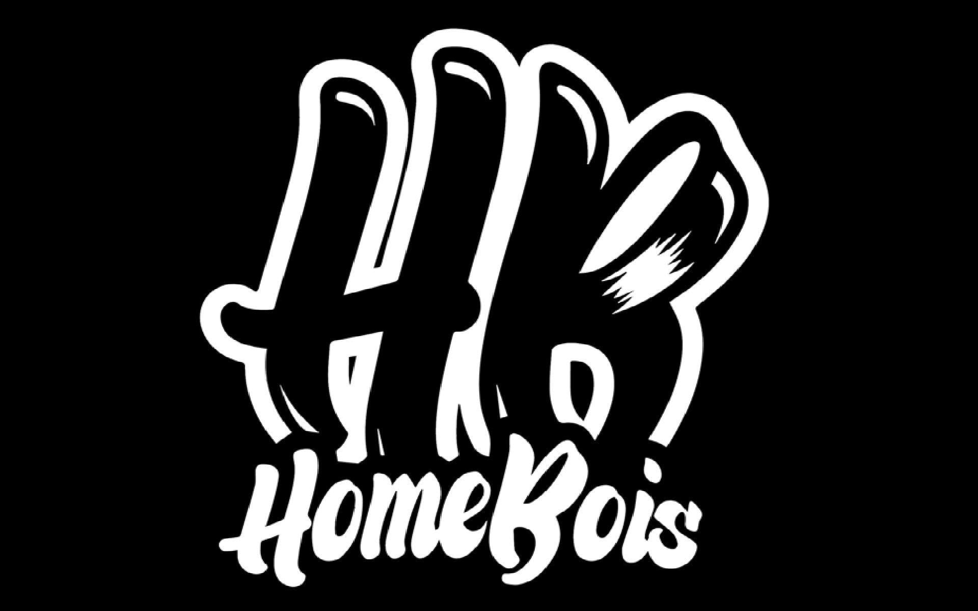 HomeBois has one of the largest fanbases in the MLBB pro circuit (Image via HomeBois)