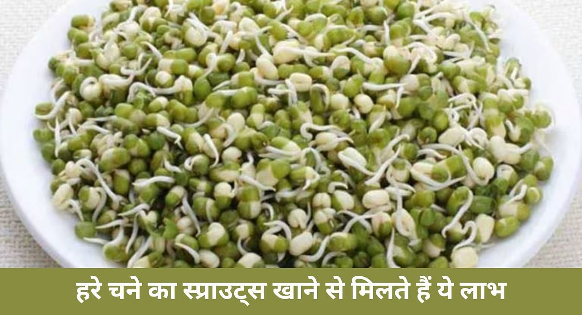 हरे चने का स्प्राउट्स खाने से मिलते हैं ये लाभ(फोटो-Sportskeeda hindi)