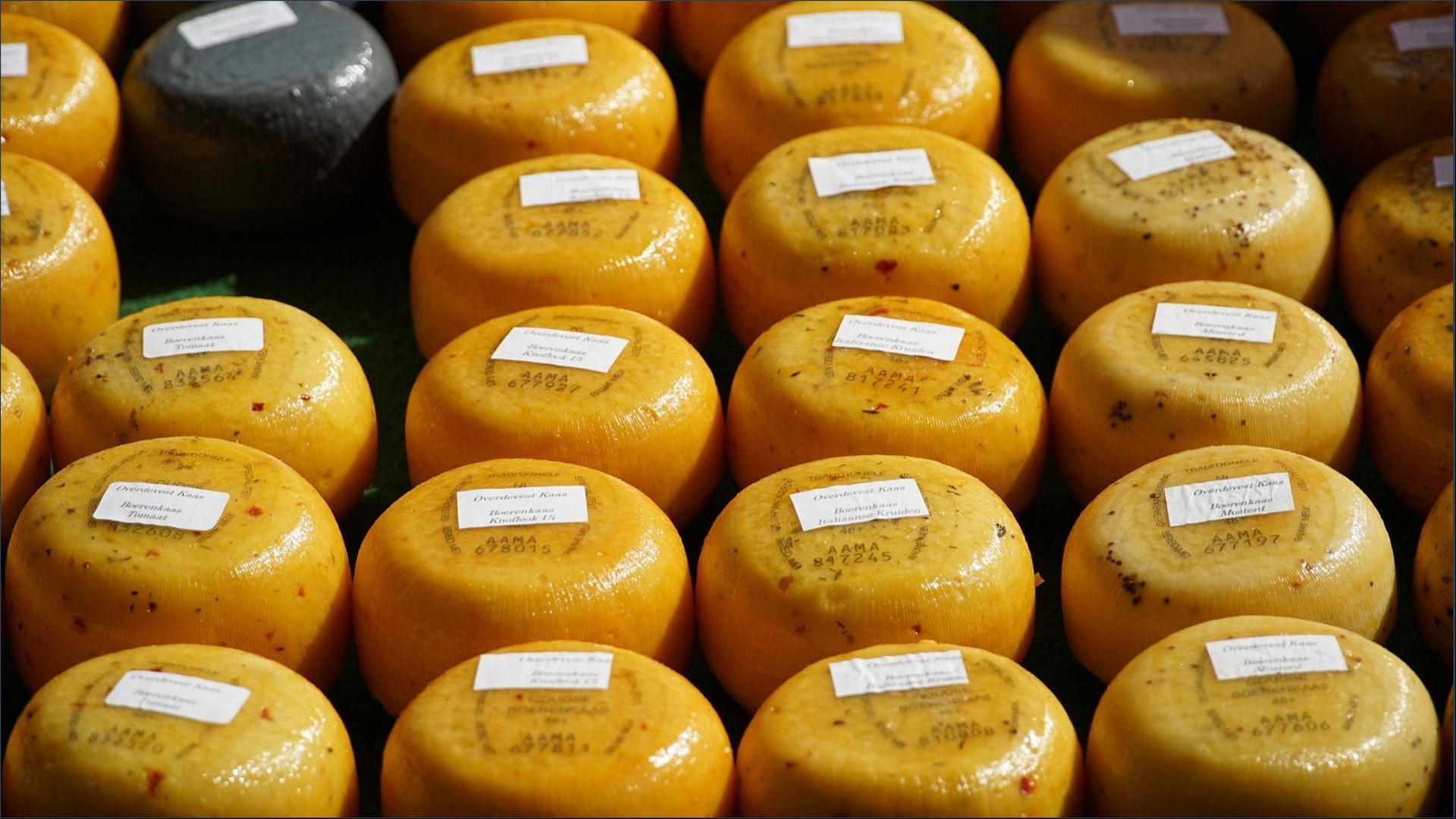 Raw Farms recalls its Cheddar Cheese Reason, affected varieties, and more