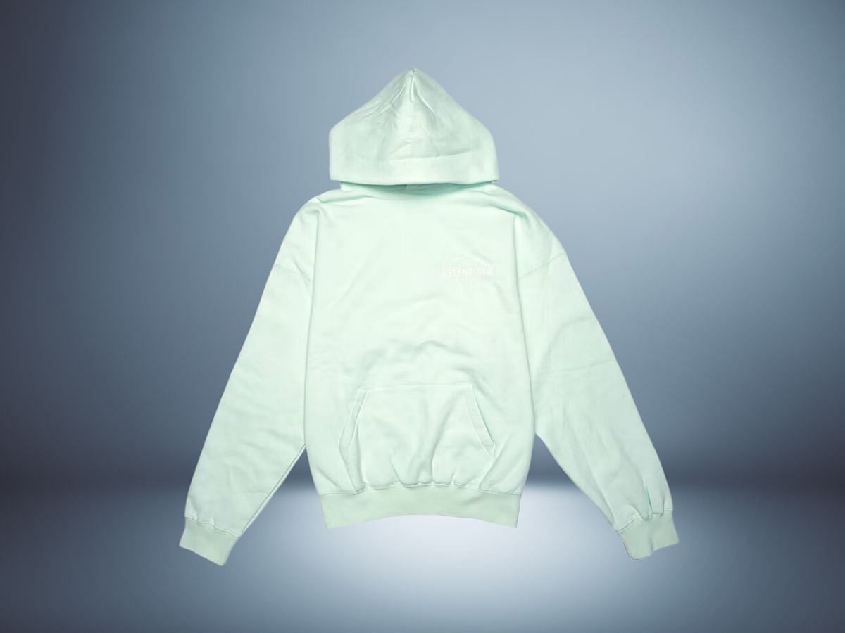 The Logo pullover mint hoodie (Image via StockX)