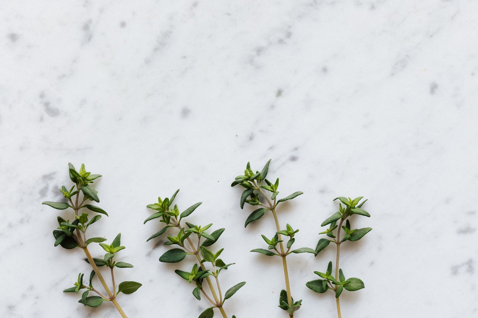 Importance of health benefits of thyme (image sourced via Pexels / Photo by karolina)