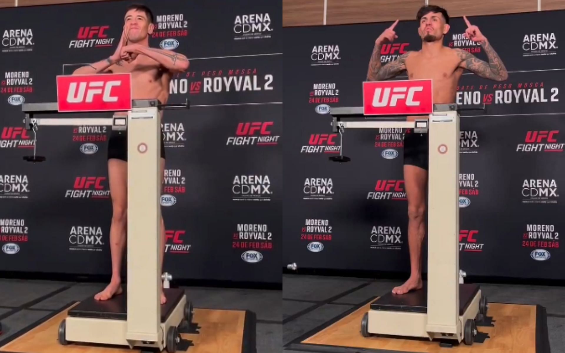 UFC Mexico City: Brandon Moreno vs. Brandon Royval 2 weigh-in results