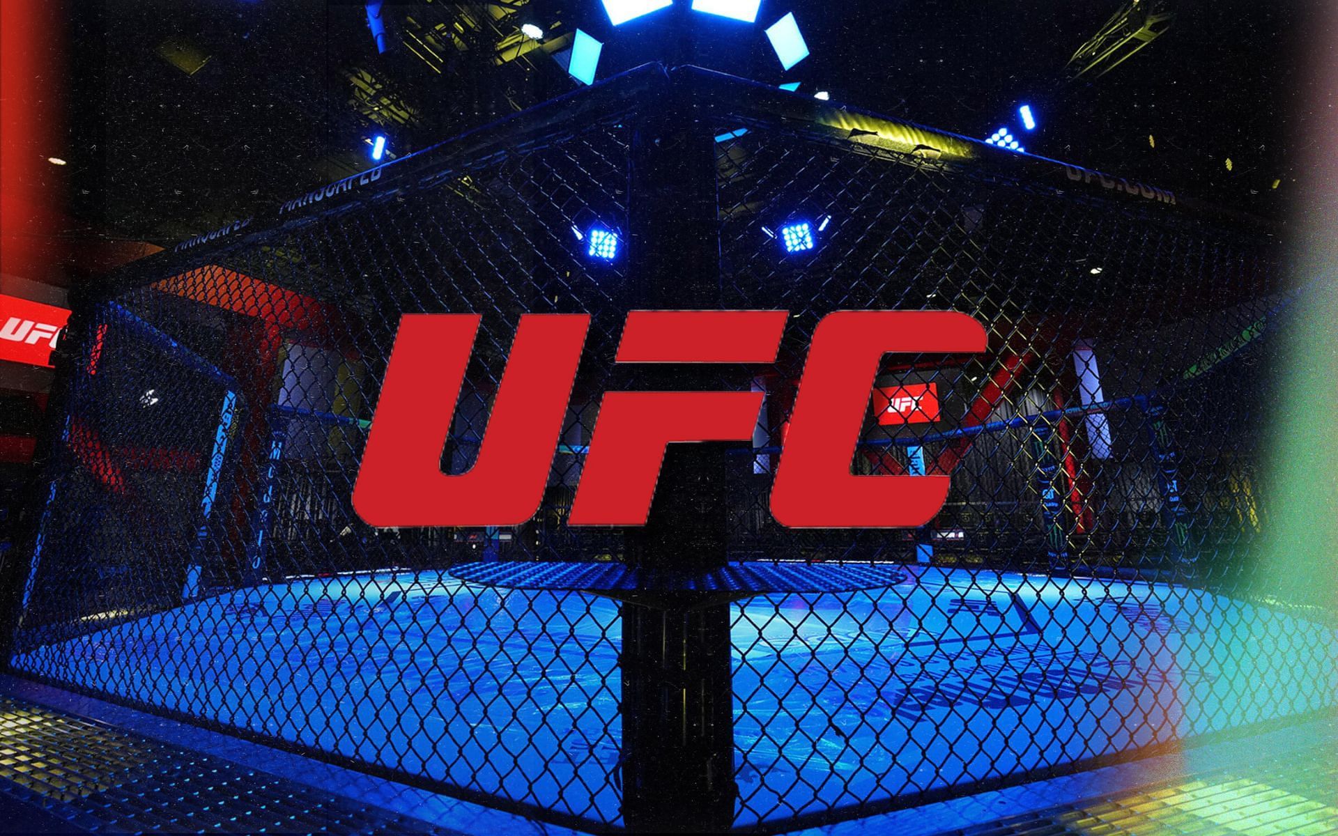 UFC Atlantic City ticket prices [Image credits: Getty Images]