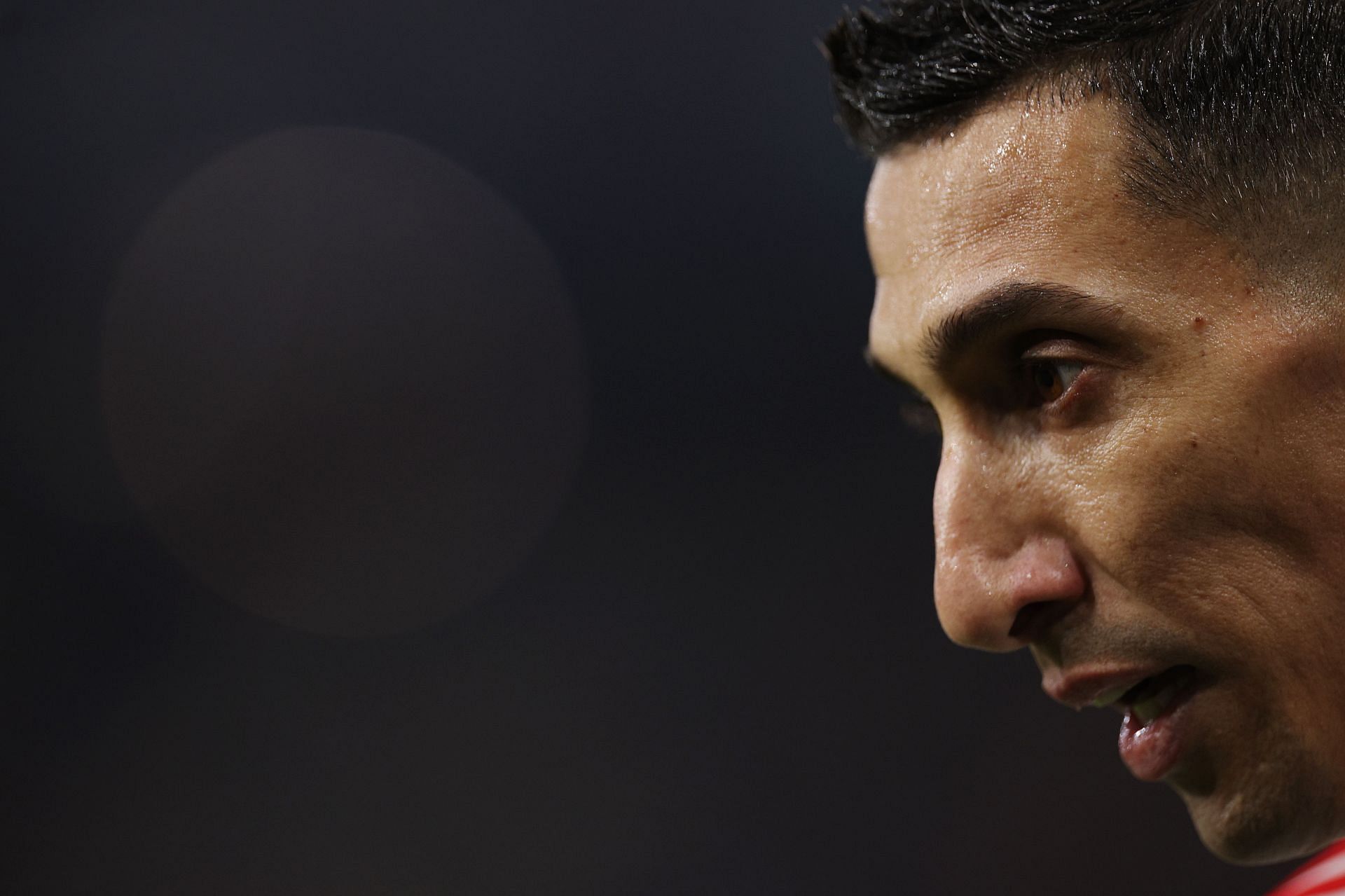 FC Salzburg v SL Benfica: Group D - UEFA Champions League 2023/24