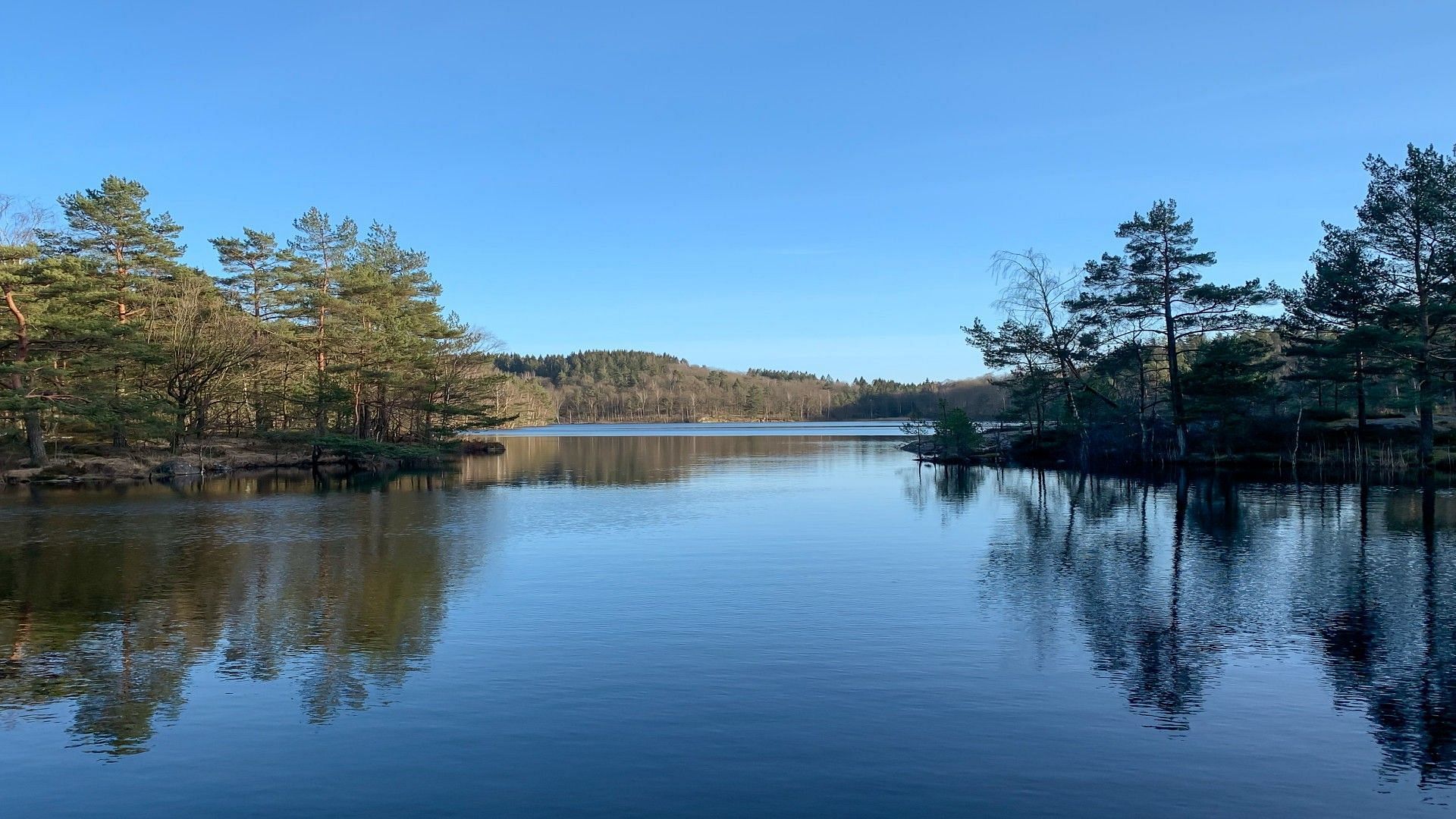 Meigs County deputy  Robert Leonard found dead after crashing into Tennessee River (Representative Image via Wirestock/Freepick)