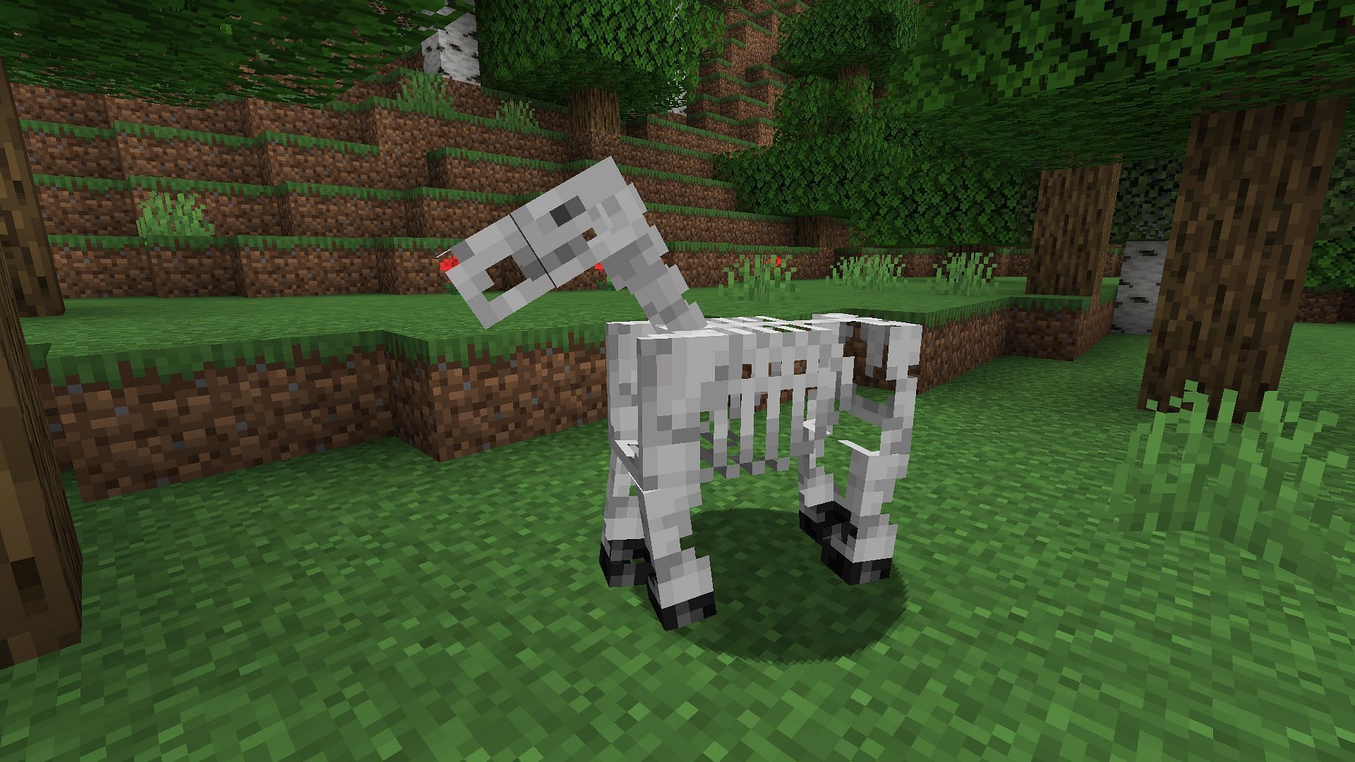 Un cheval squelette dans une forêt (Image via Mojang Studios)