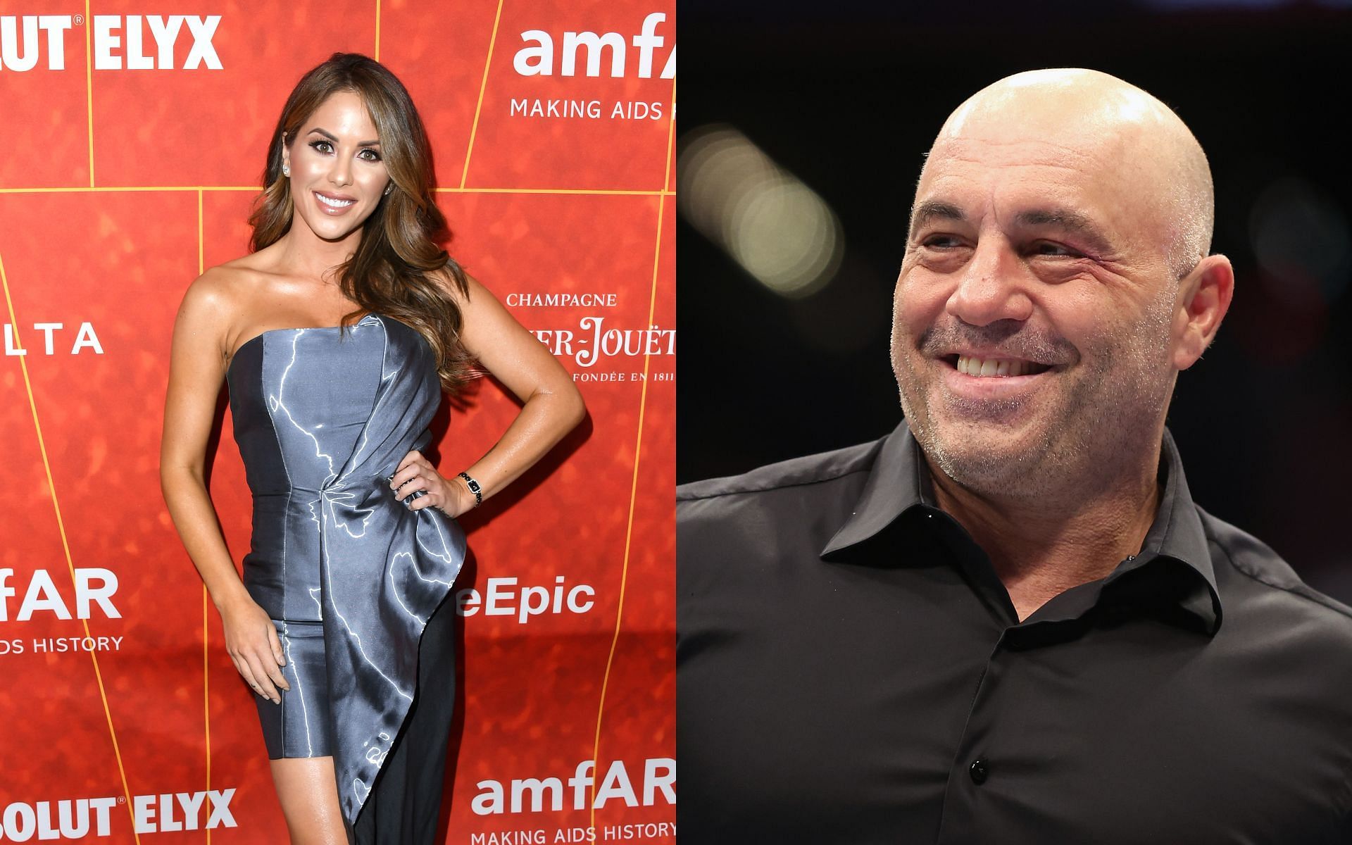 Brittney Palmer; Joe Rogan