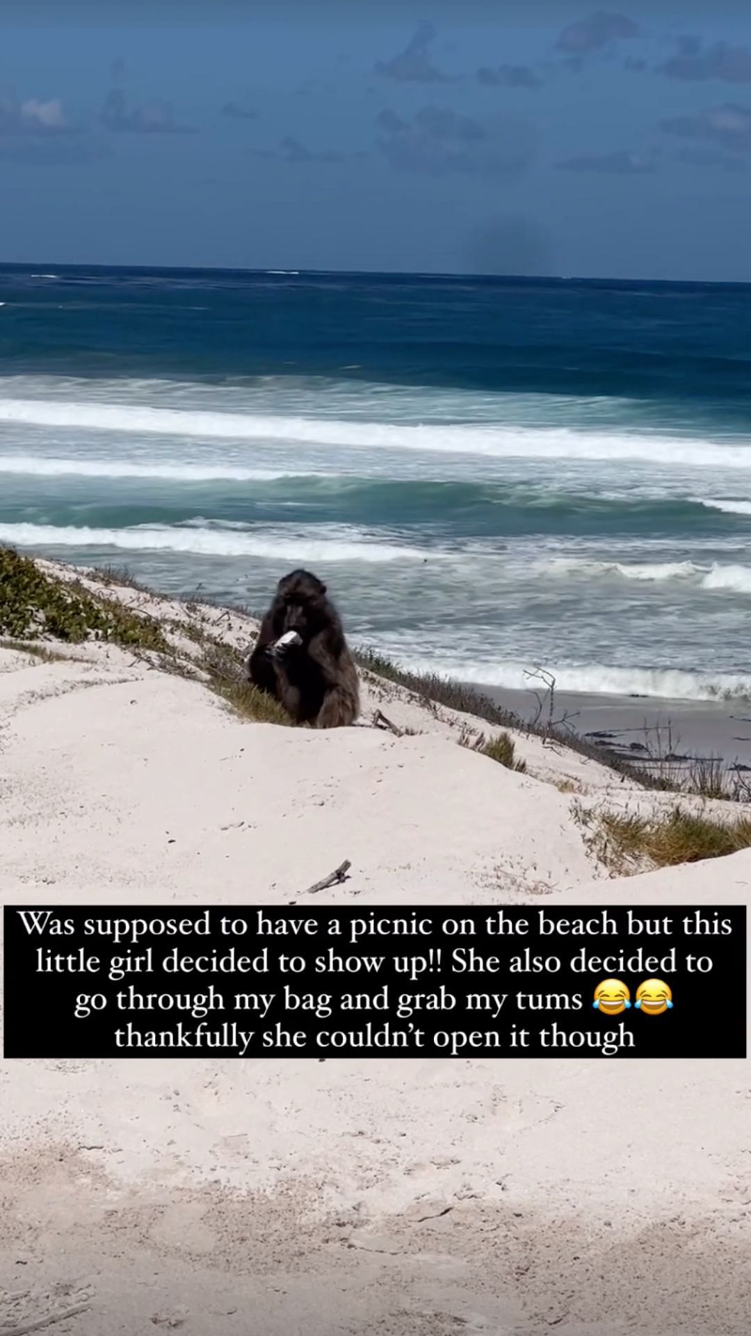 A picture of a monkey on the beach