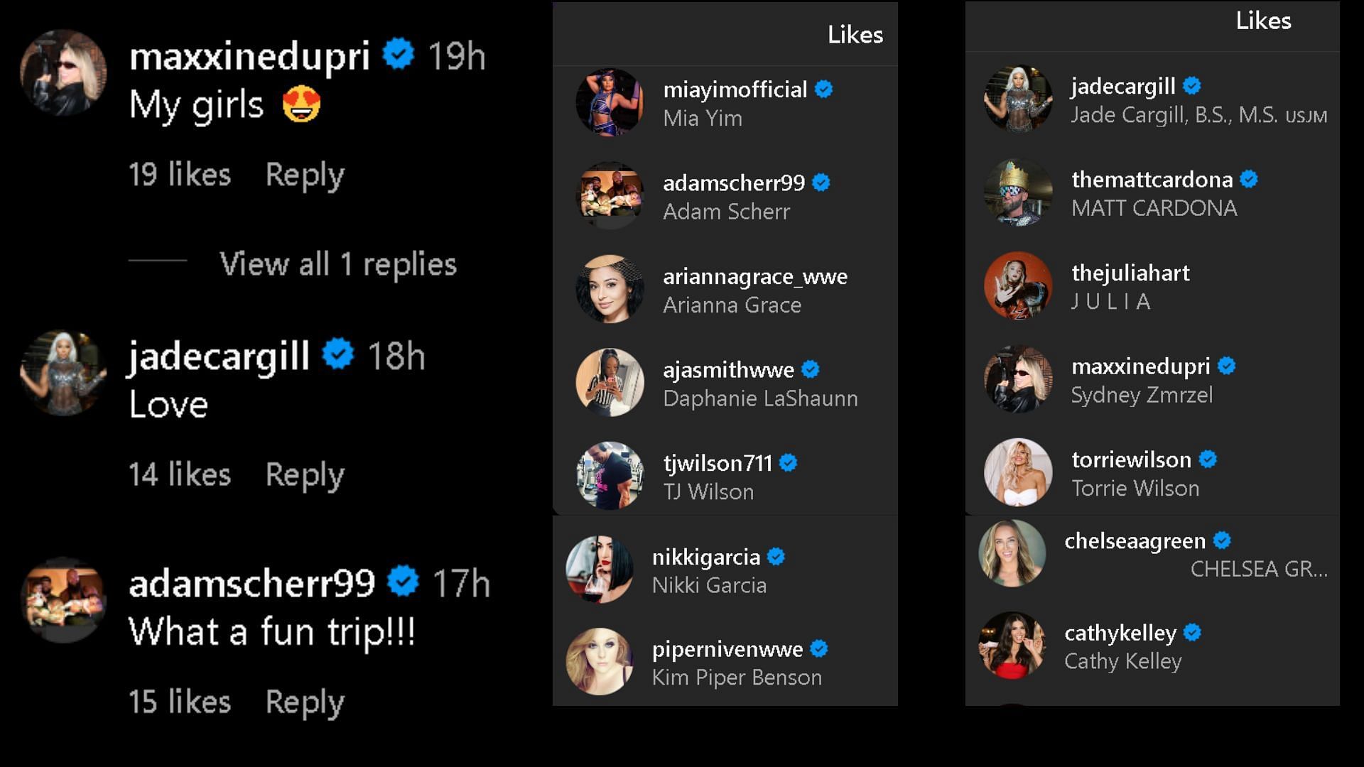 Screengrab of reactions on Natalya&#039;s Instagram post.