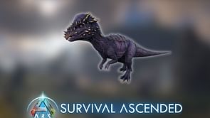 ARK Survival Ascended Pachy taming guide