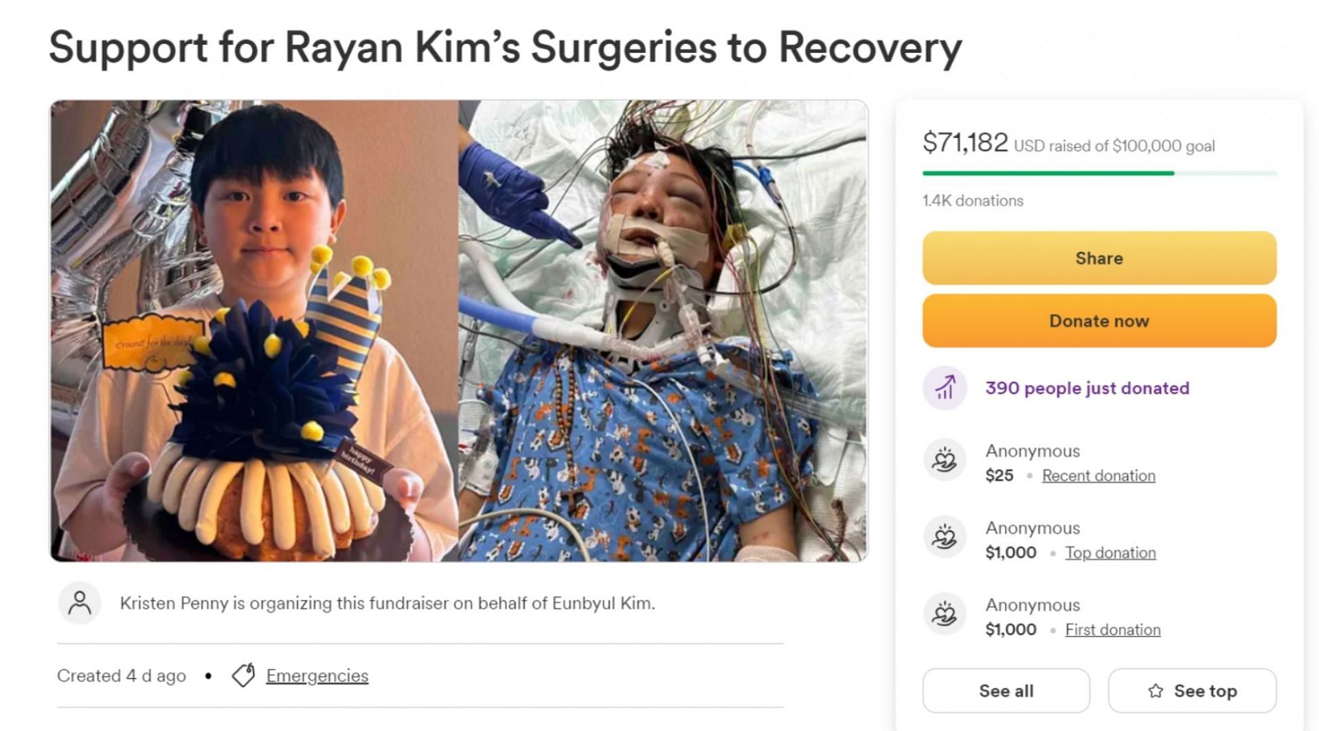 Rayan&#039;s GoFundMe page amassed $71,157 (Image via GoFundMe)