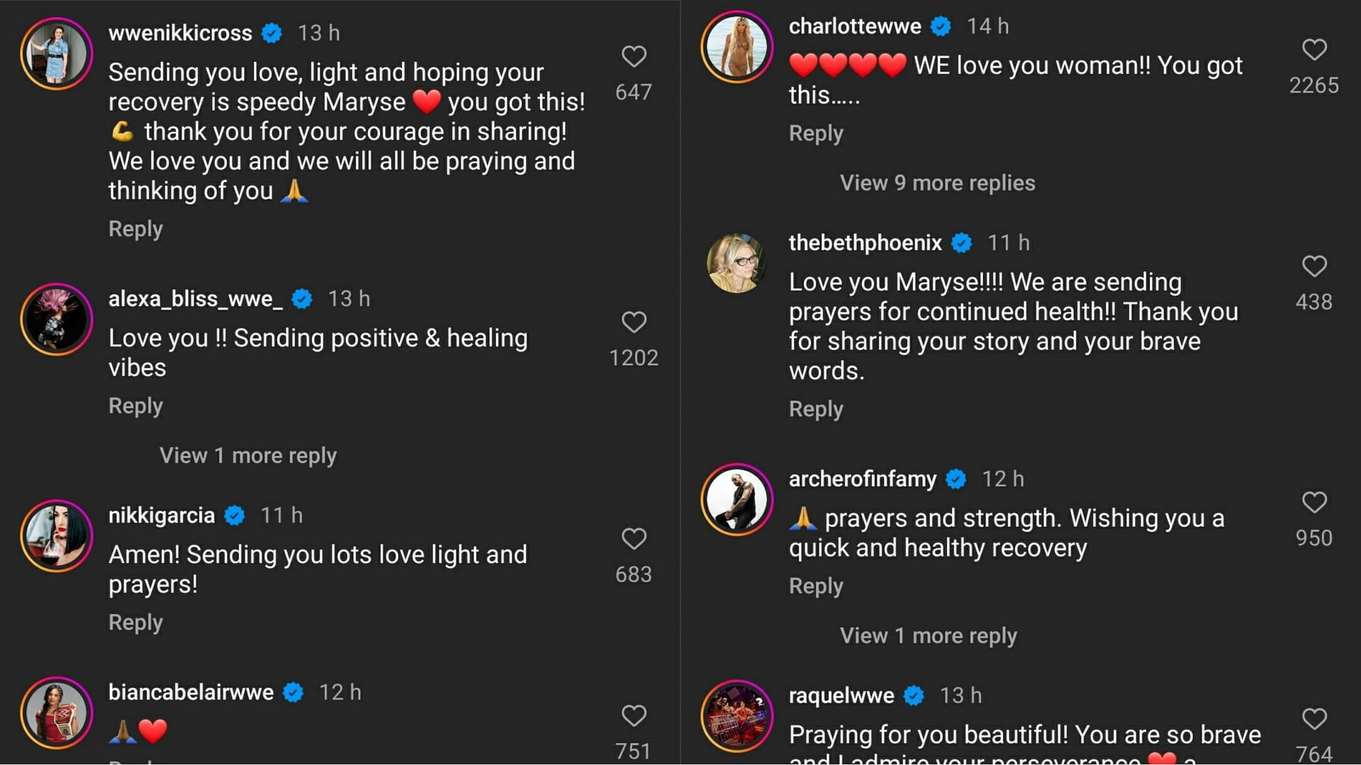More reactions to the former Divas Champion&#039;s health update [Image source: Comments section of the star&#039;s Instagram post]