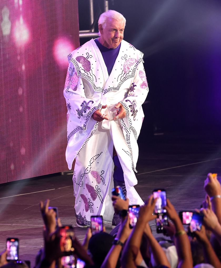 Ric Flair Net Worth 2024, Salary & Endorsements