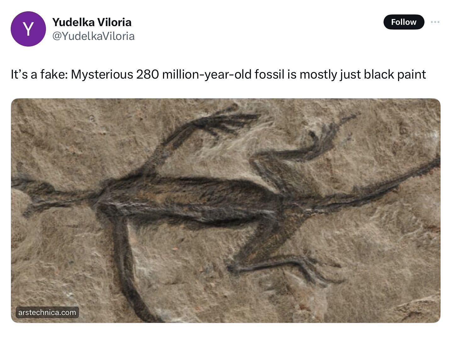 New study shows a 280 million-year-old reptile specimen is a fake (Image via @YudelkaViloria/X)