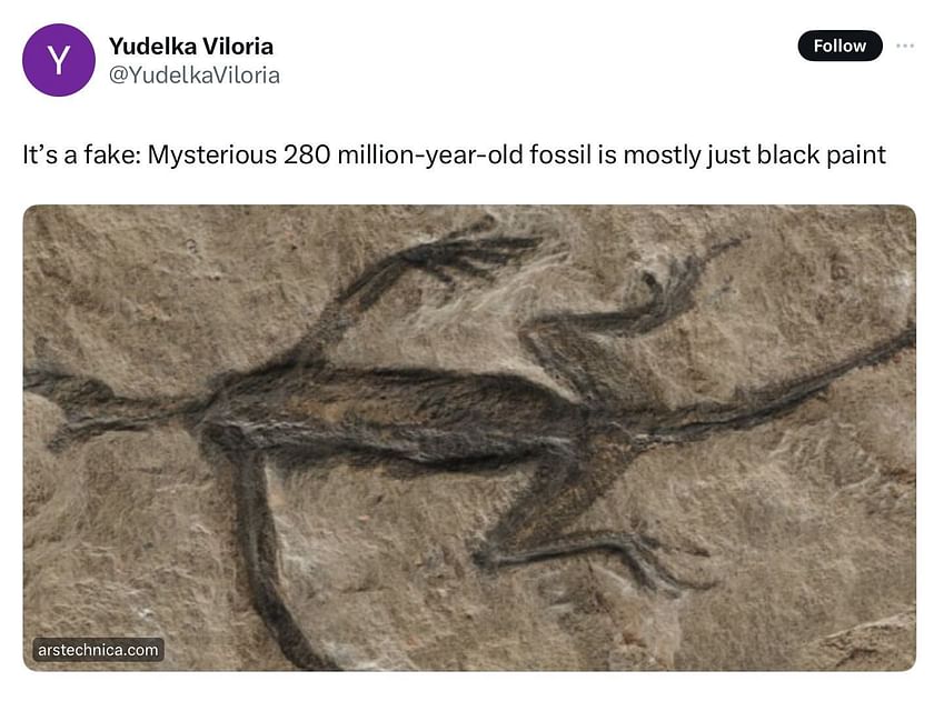 Unbelievable Fossil Discovery Reptile With A Bizarre Crest - hmyv6j7
