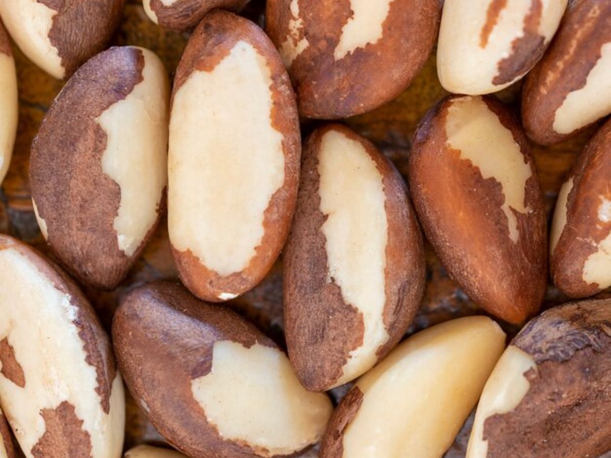 Benefits of Brazil nuts for acne (Image via Freepik)