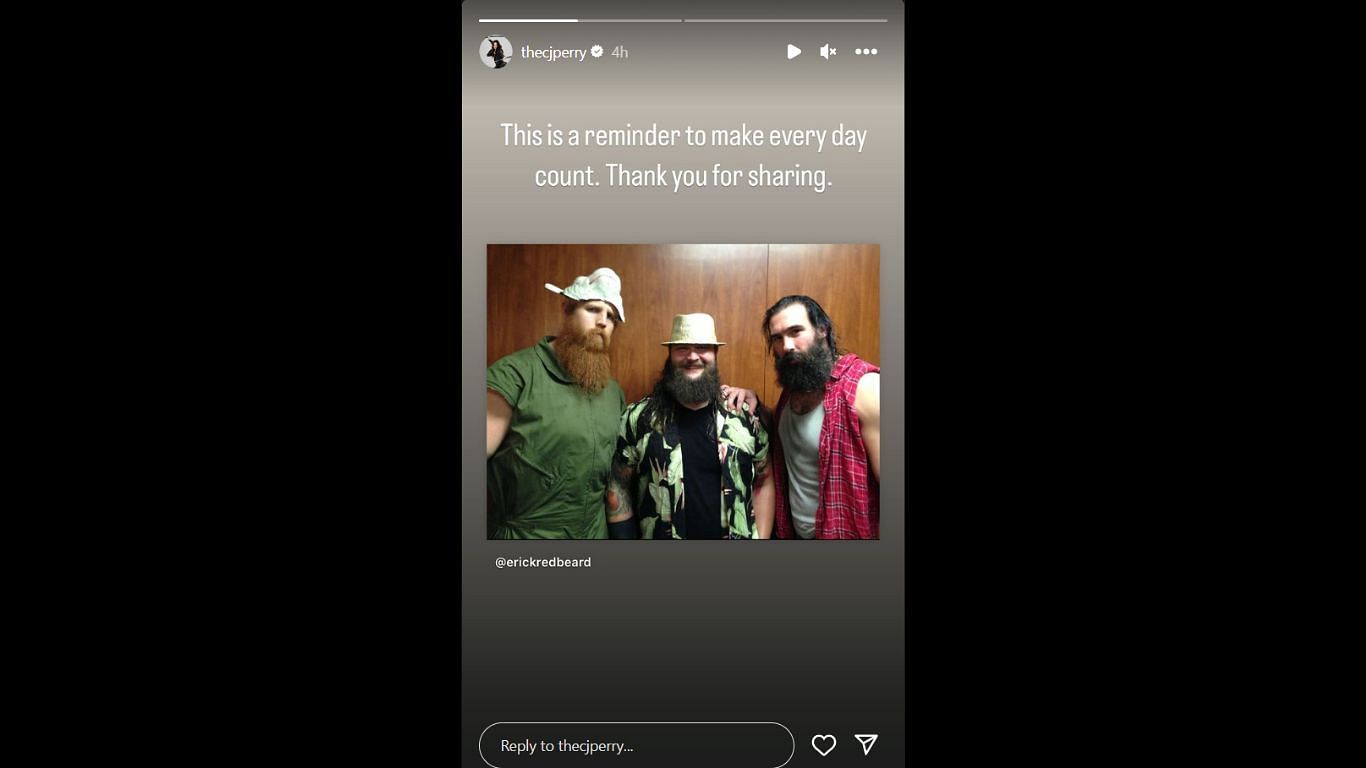 CJ Perry&#039;s comments on Erick Rowan&#039;s tribute [Image source: Screenshot taken from Perry&#039;s Instagram Story]
