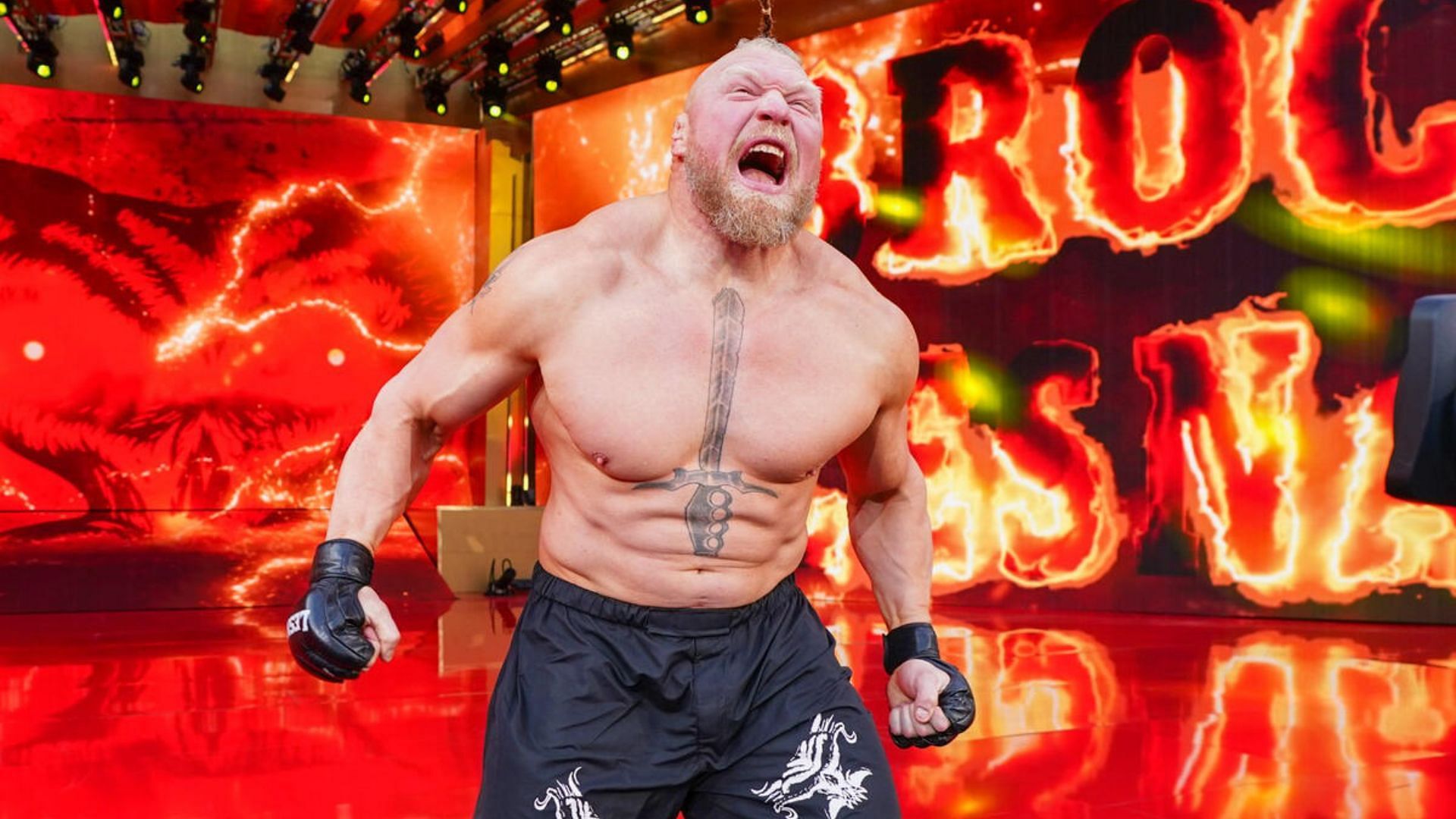 Brock Lesnar was one of the most dominant superstars in WWE