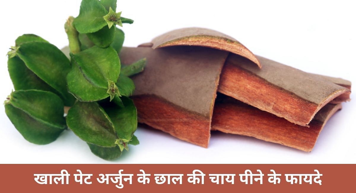खाली पेट अर्जुन के छाल की चाय पीने के फायदे(फोटो-Sportskeeda hindi)