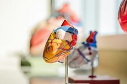 Is anxiety with Heart Palpitations real?