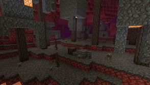 "An actually good idea for a wood set": Minecraft player shares interesting concept design for withered biome and trees