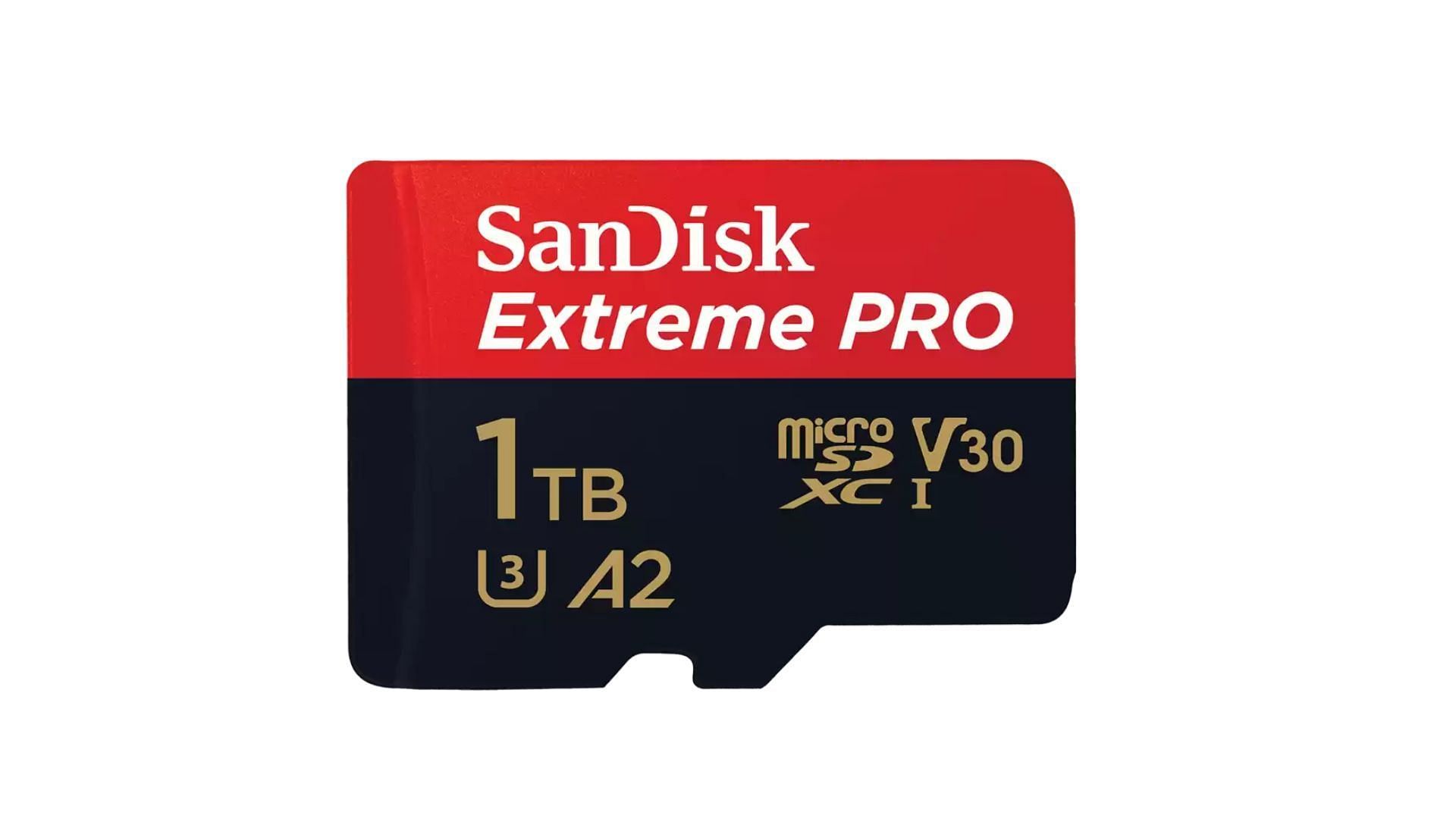 External storage option (Image via SanDisk/Western Digital)