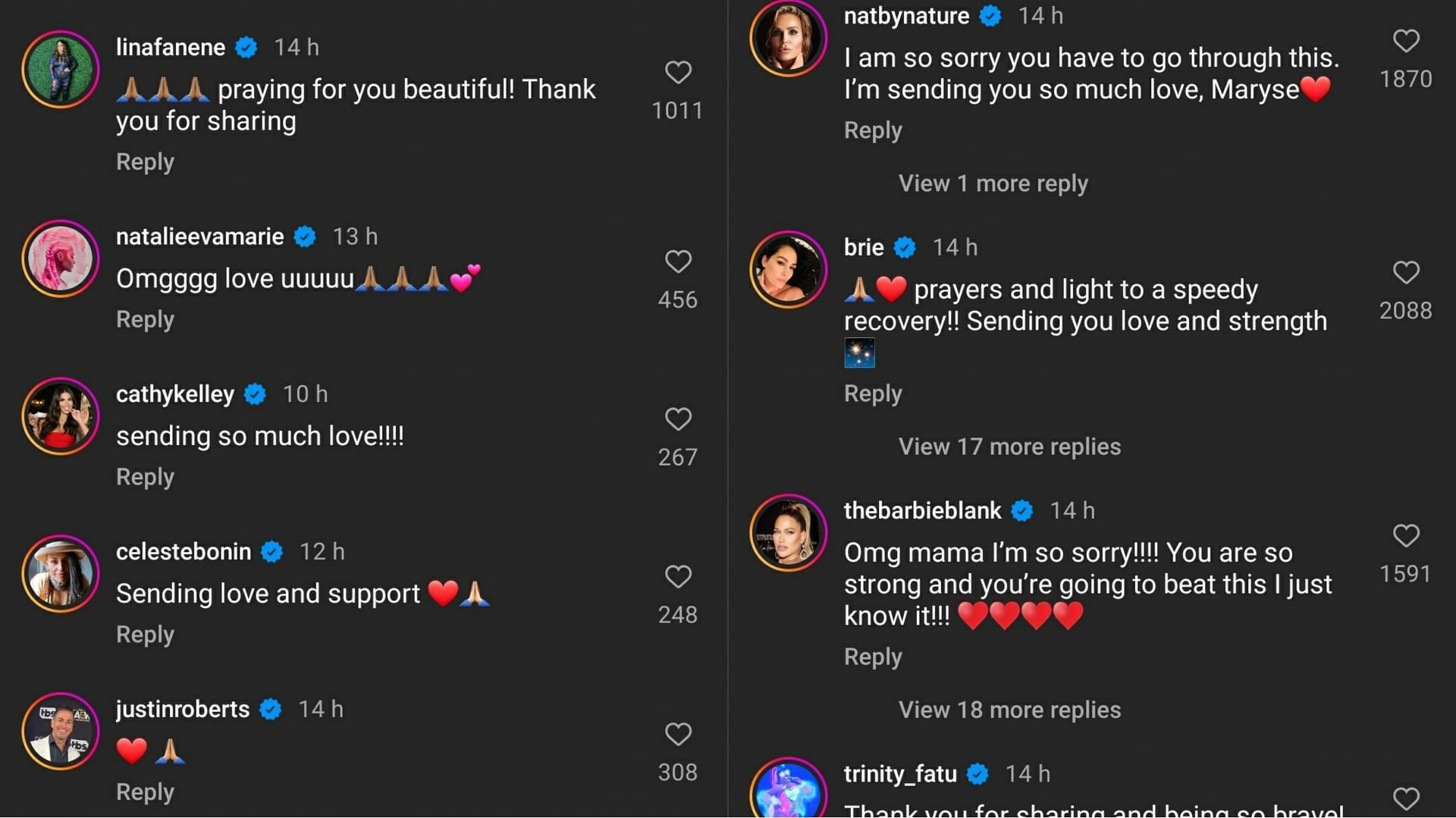 Many notable names reacted to the health update [Image source: Comments section of Maryse&#039;s Instagram post] 