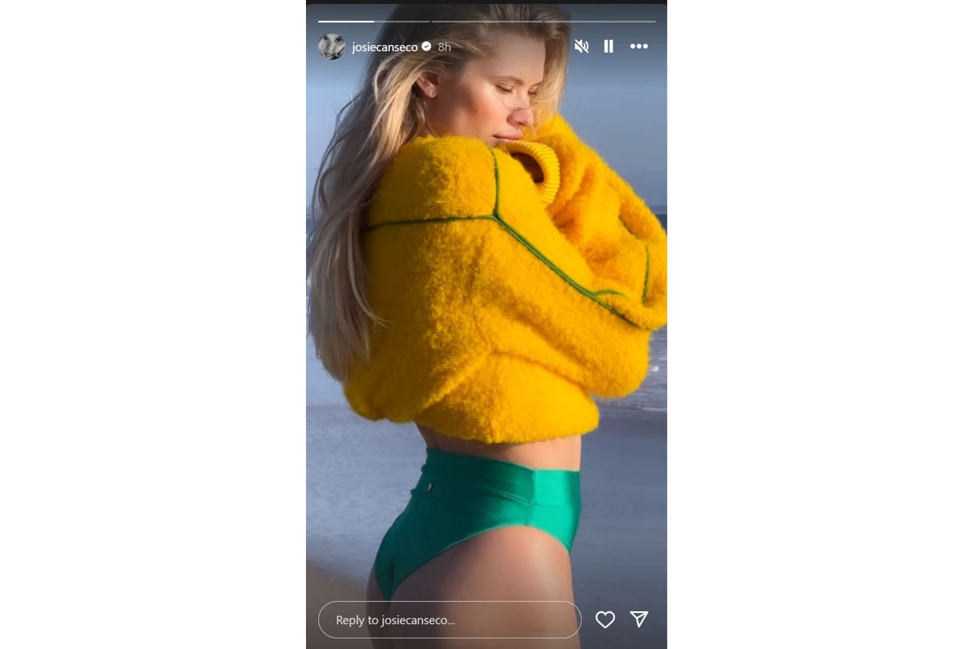 Josie Canseco flaunts the furry jacket