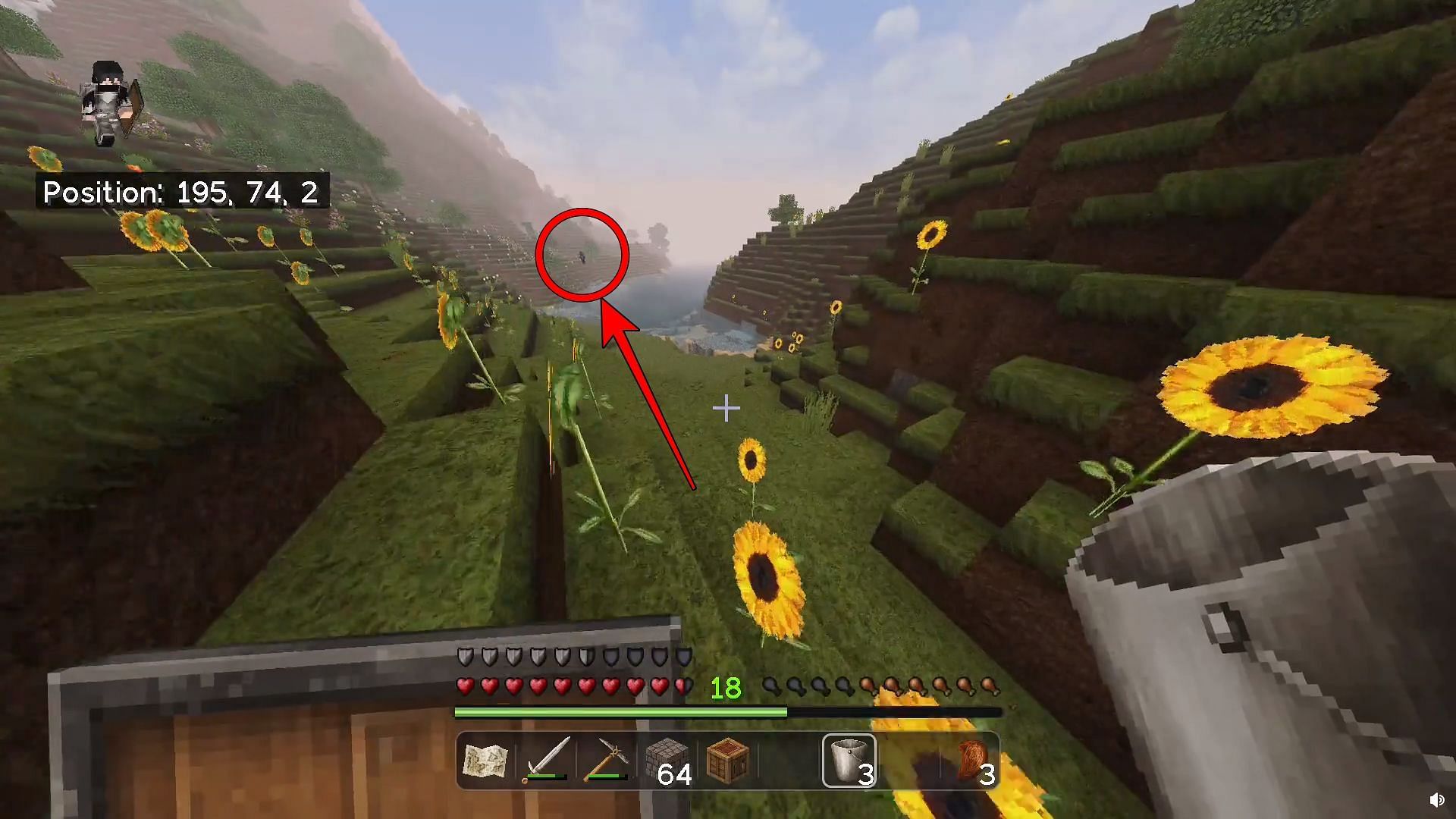 Minecraft Redditor spots a mysterious entity in a single-player world (Image via Reddit/u/purpleshadow883)