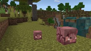 Minecraft Bedrock 1.20.70.22 Beta and Preview patch notes: Armadillo animation update, vault texture changes, and more