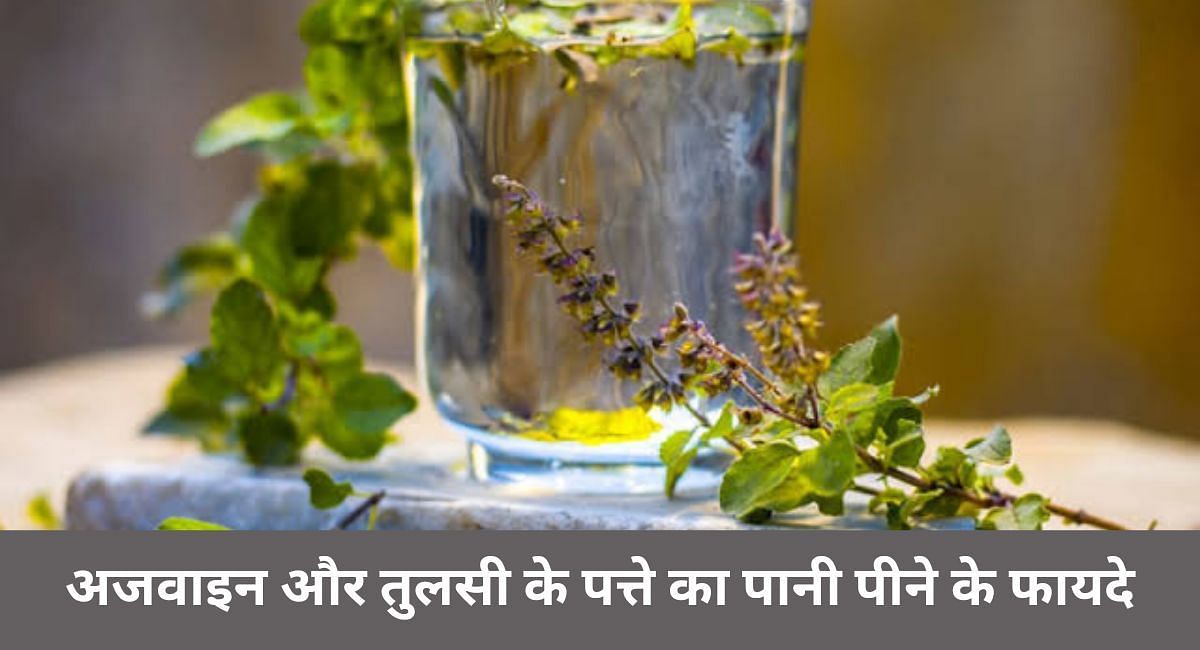 अजवाइन और तुलसी के पत्ते का पानी पीने के फायदे(फोटो-Sportskeeda hindi)