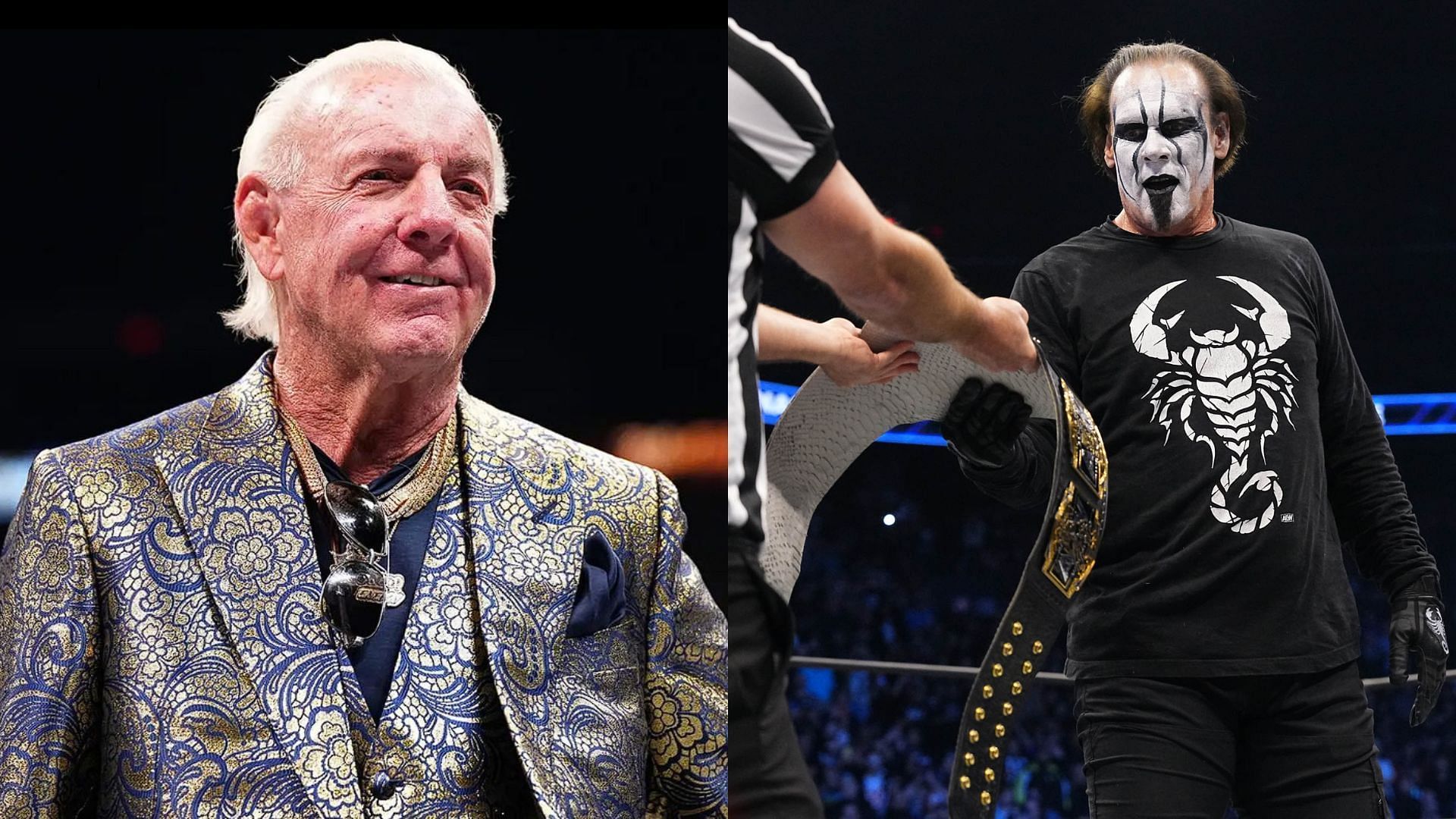 Sting and Ric Flair are both in the WWE Hall of Fame [Photo courtesy of AEW Official Website, and Ric Flair