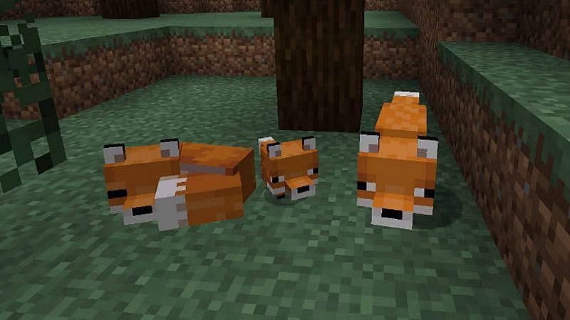 Taming foxes in minecraft