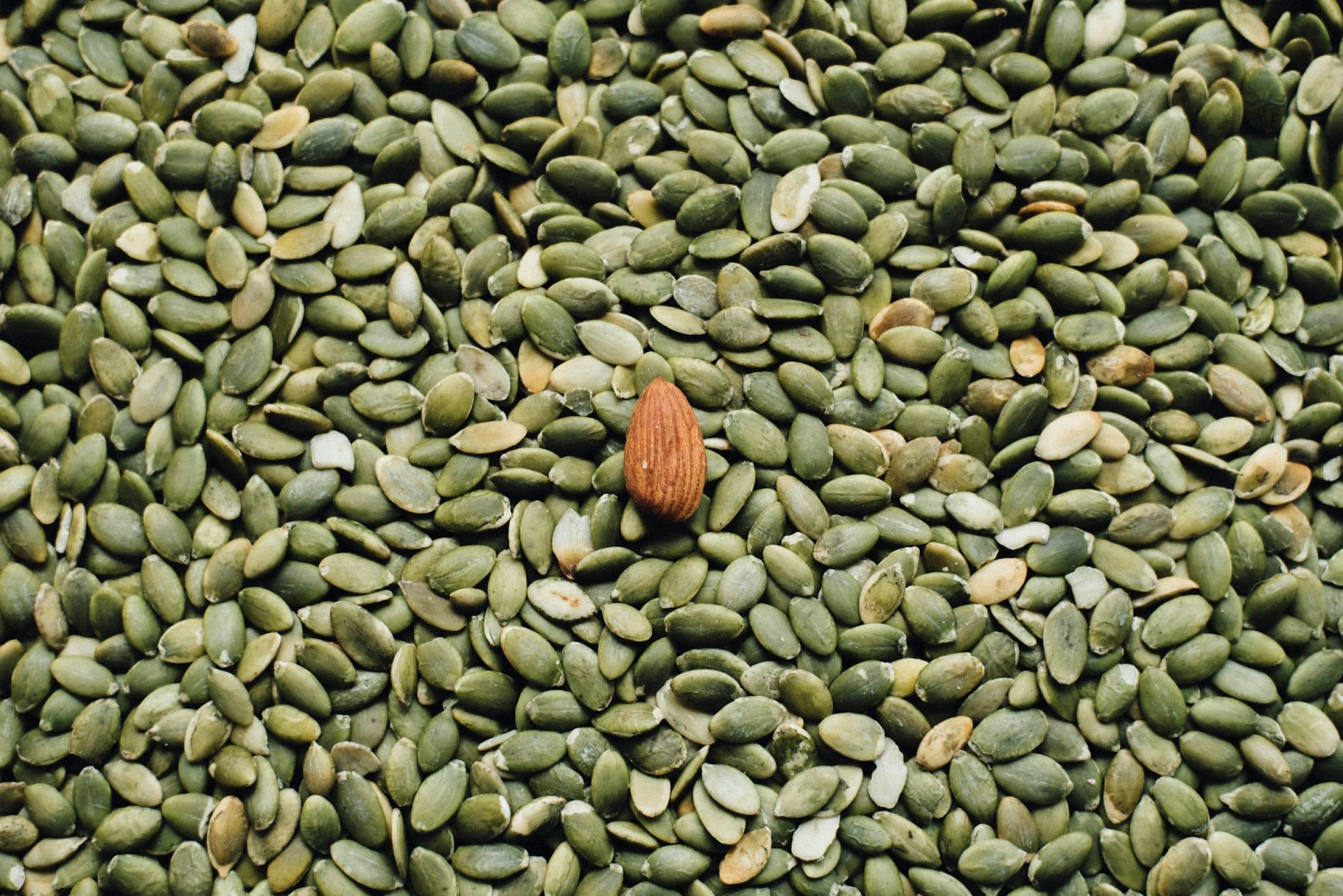 Seeds for Weight Loss (Image via Unsplash/Chuttersnap)