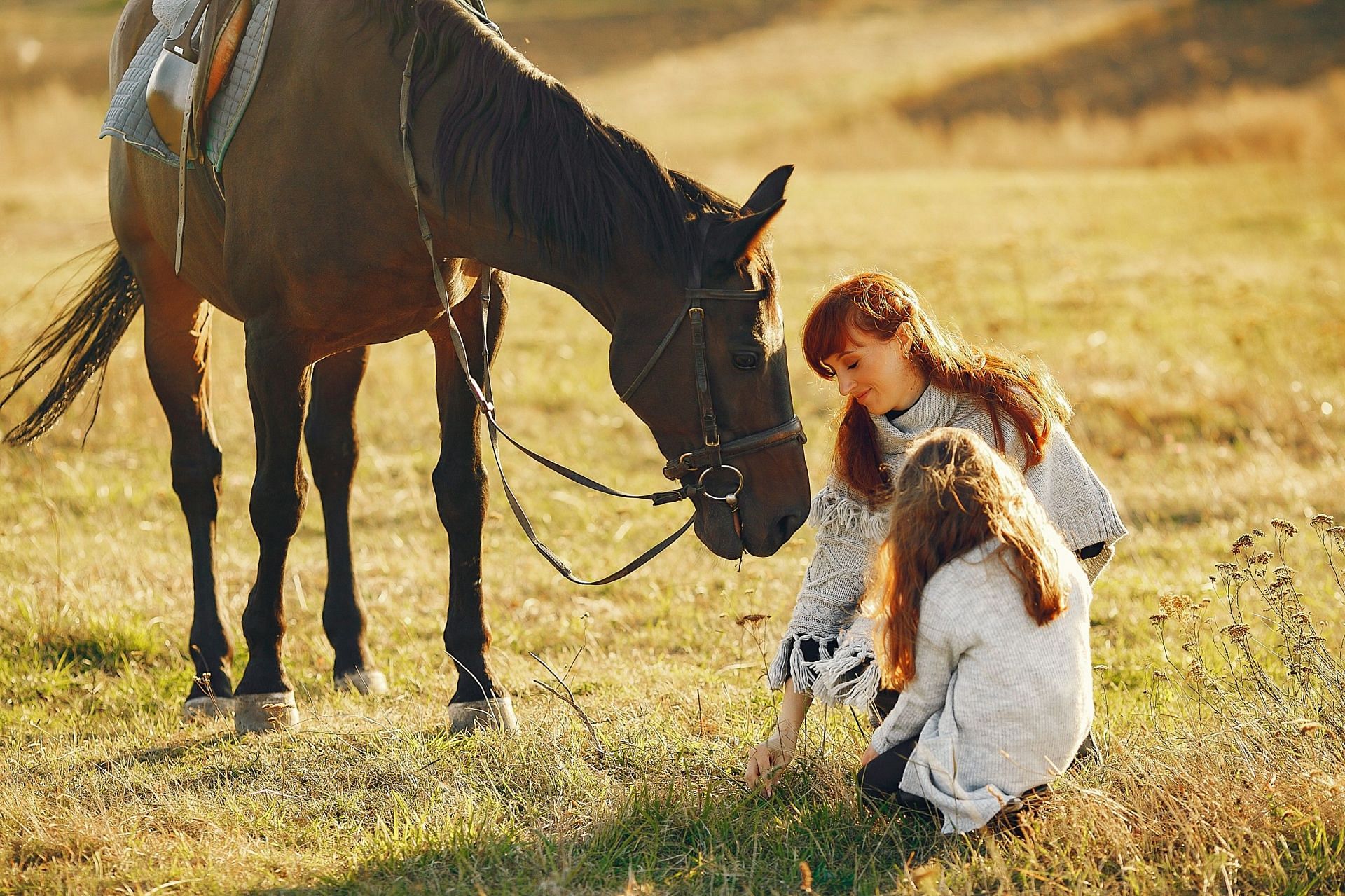 Equine therapy sessions begin easy and gradually progress. (Image via Freepik/Prostooleh)