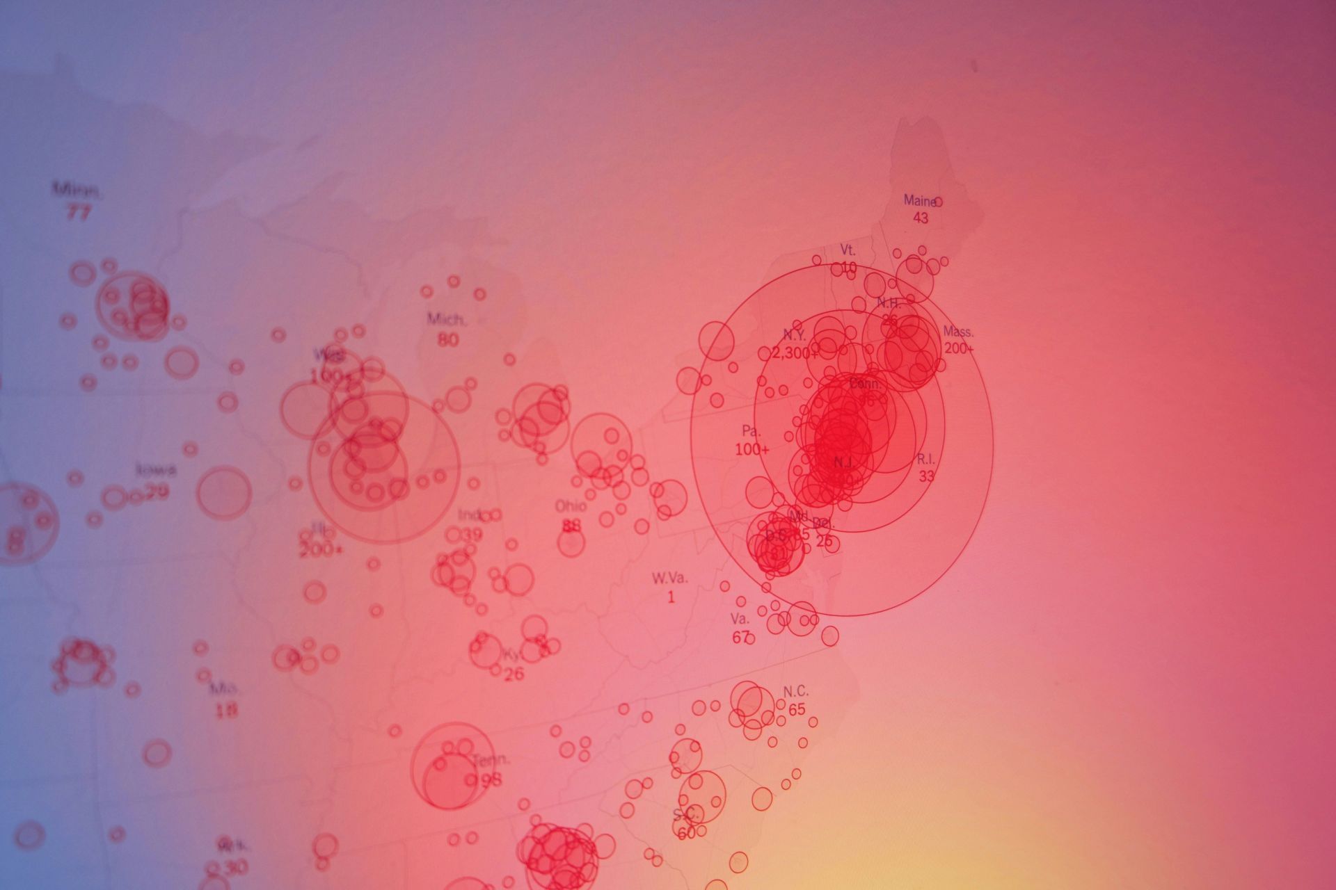 It seems owner got the virus from its pet cat (Image via Unsplash/ Brian Mcgowan)