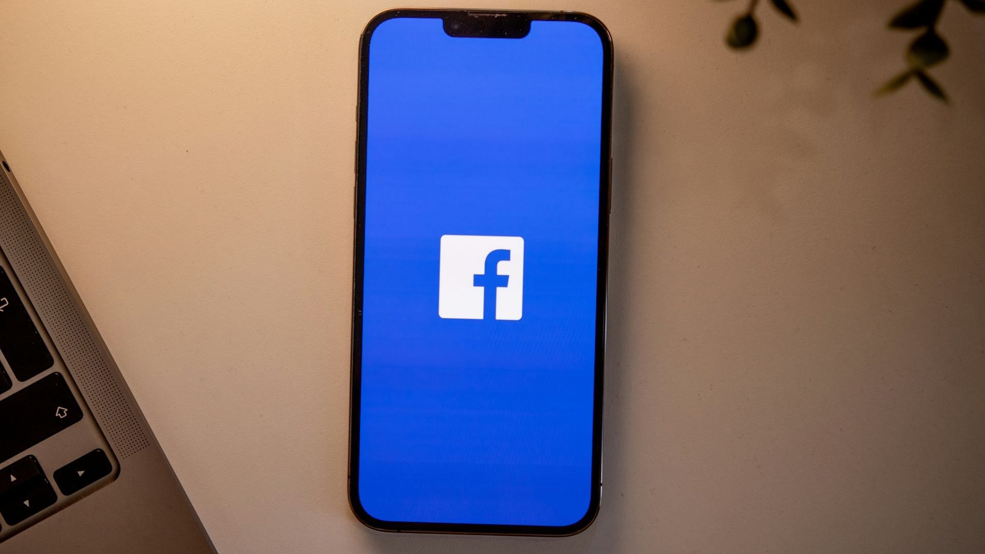Mysterious chirping sound on Facebook turns out to be a technical error (Photo by dlxmedia.hu on Unsplash)